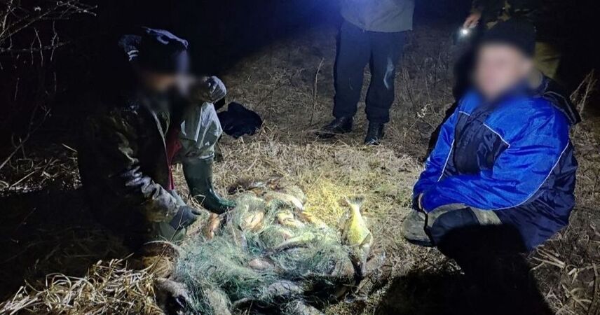 Незаконная рыбалка на 550 базовых: в Пинском районе задержали сеточников