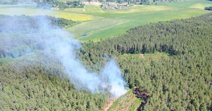 Больше 400 гектаров пепла: с 1 июня Пинщина – в красной зоне на интерактивной карте Минлесхоза
