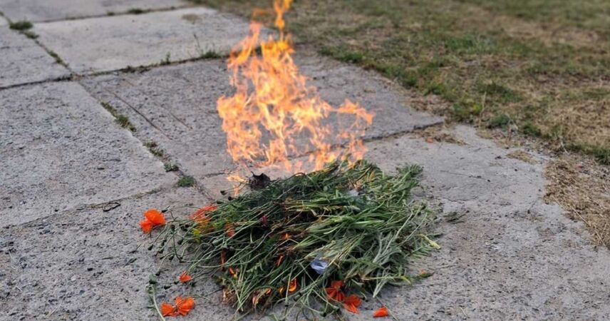 Программа «Мак» в действии: в Брестской области зачистили 105 квадратов с наркорастениями