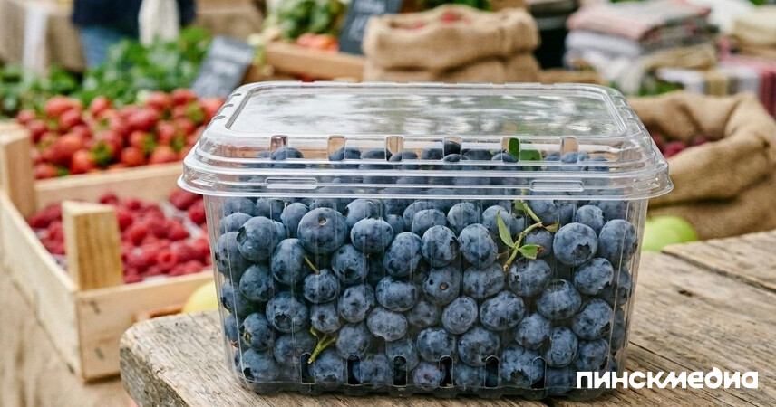 Как легально продать лесной урожай и в каких случаях не нужно платить налог