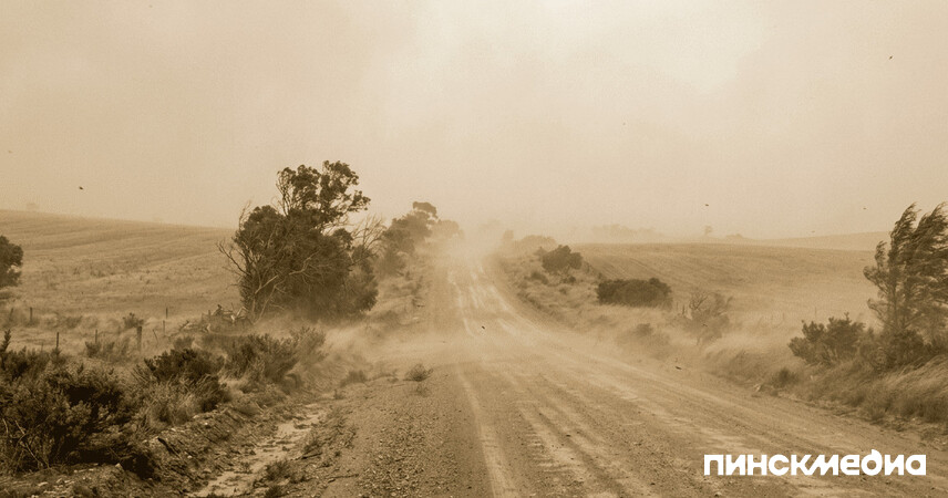 «Дома засыпает песком»: на Брестчине жители деревень жалуются на пылевые бури